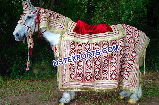 Indian Wedding Horse Decoration