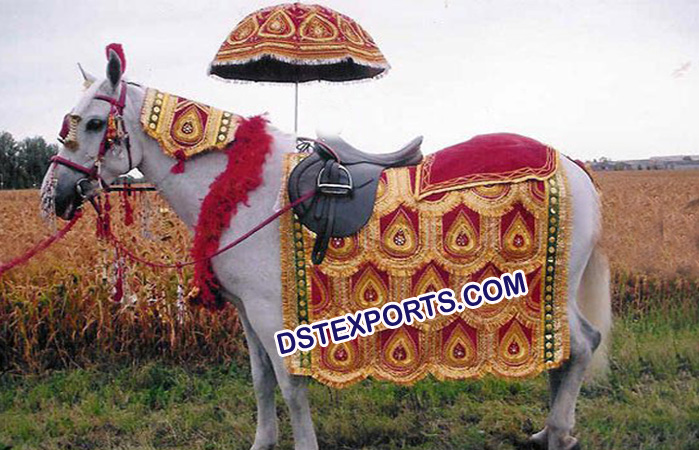 Indian Wedding Horse Decorations