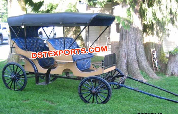 Pony Driven Small Victoria Carriage Buggy