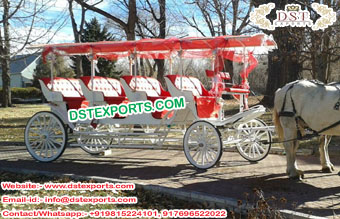 American Tourist Horse Buggy for Sale