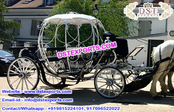 Magnificent Cinderella Horse Carriage for Sale