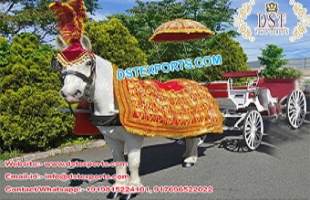 Indian Wedding Baraat Horse Costume Decoration