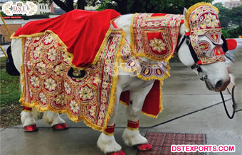 Horse Costume for Indian Baraat Ceremony