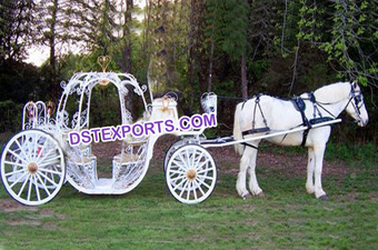 Touring Cinderella Carriages
