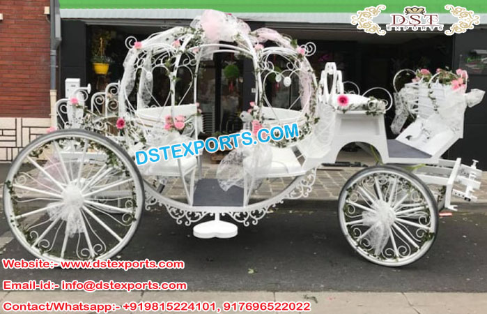 Dreamy Cinderella Horse Carriage for Wedding